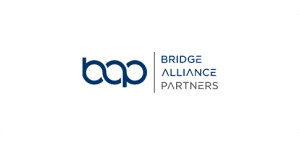 bridge_alliance_partners