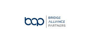 bridge_alliance_partners